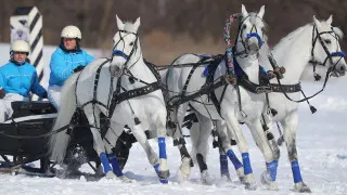 Президентский помощник предложил закрепить скачки на тройках лошадей в упряжке в статусе национального вида спорта, напомнив о недавнем официальном признании «русской тройки» отдельной спортивной дисциплиной.