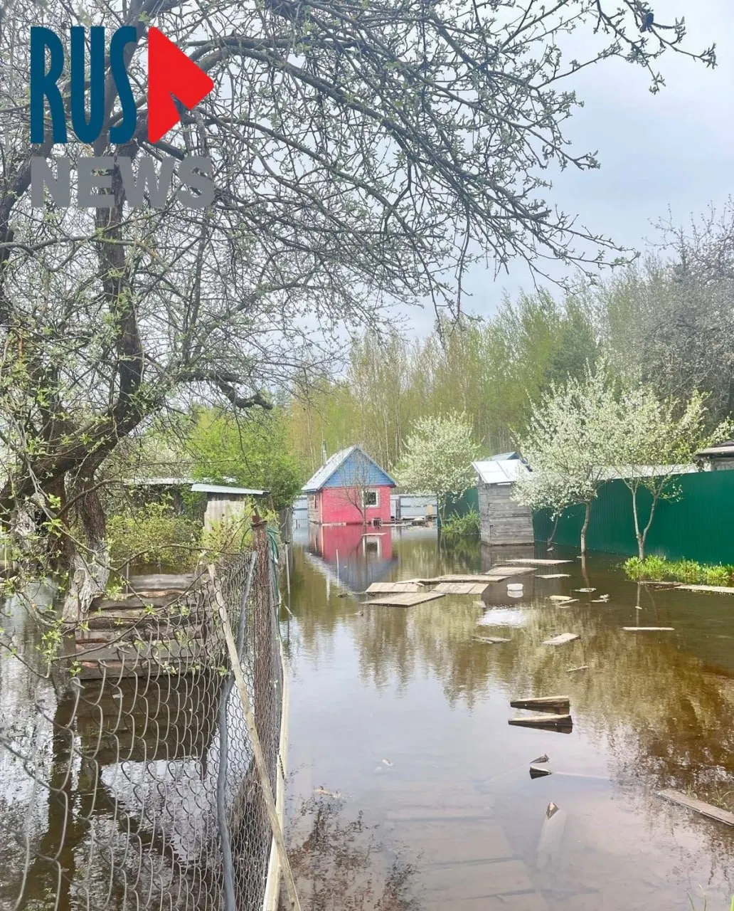 В Щёлковском районе вода затопила Гребневское лесничество и частные участки: жители утверждают, что причиной стало перекрытие стока сотрудниками водоканала, а власти не ликвидируют последствия.