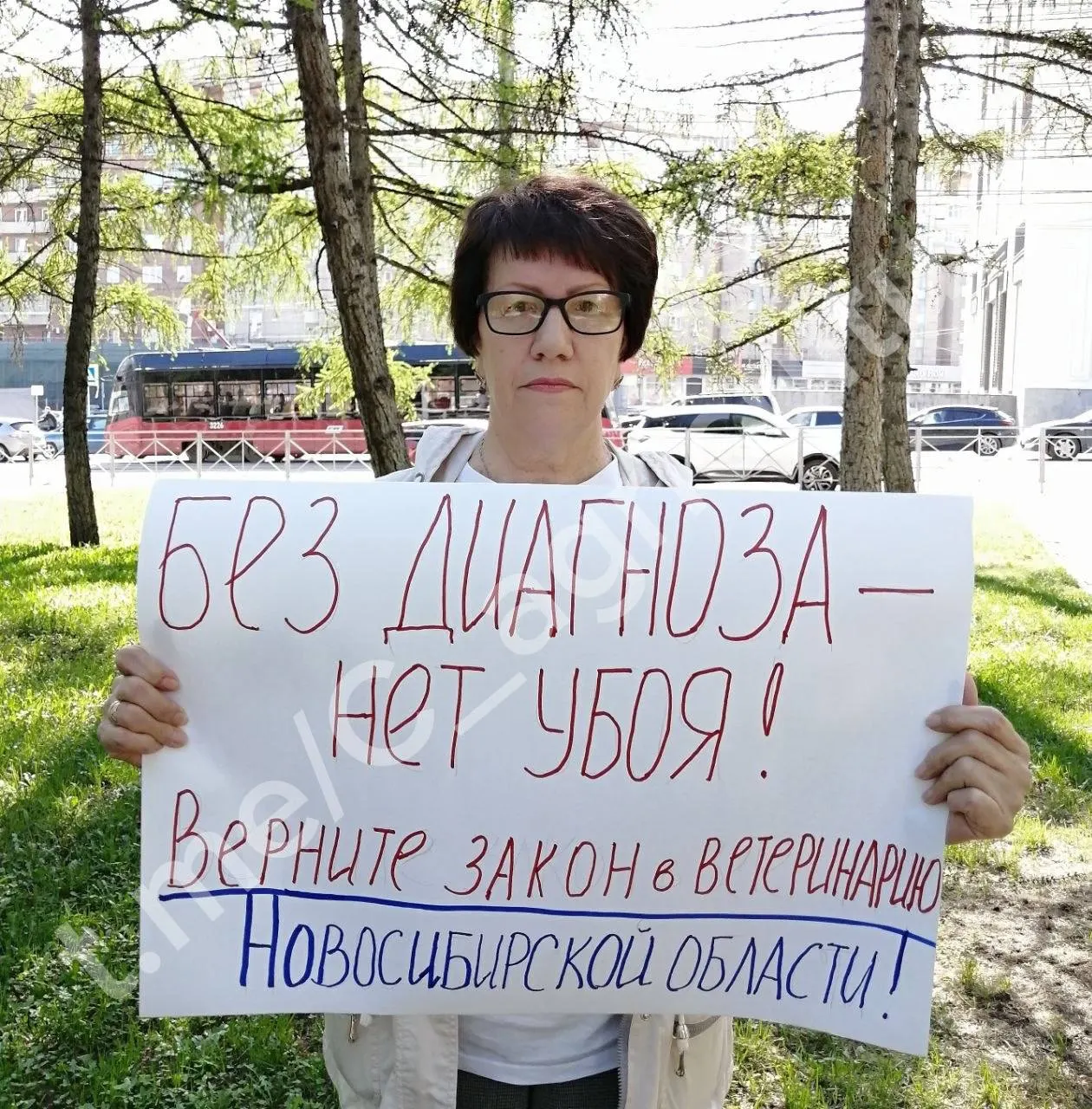 Жительница региона вышла с плакатом «Без диагноза — нет убоя! Верните закон в ветеринарию Новосибирской области!». Акция прошла на фоне спора о диагнозе у животных, уничтоженных властями.