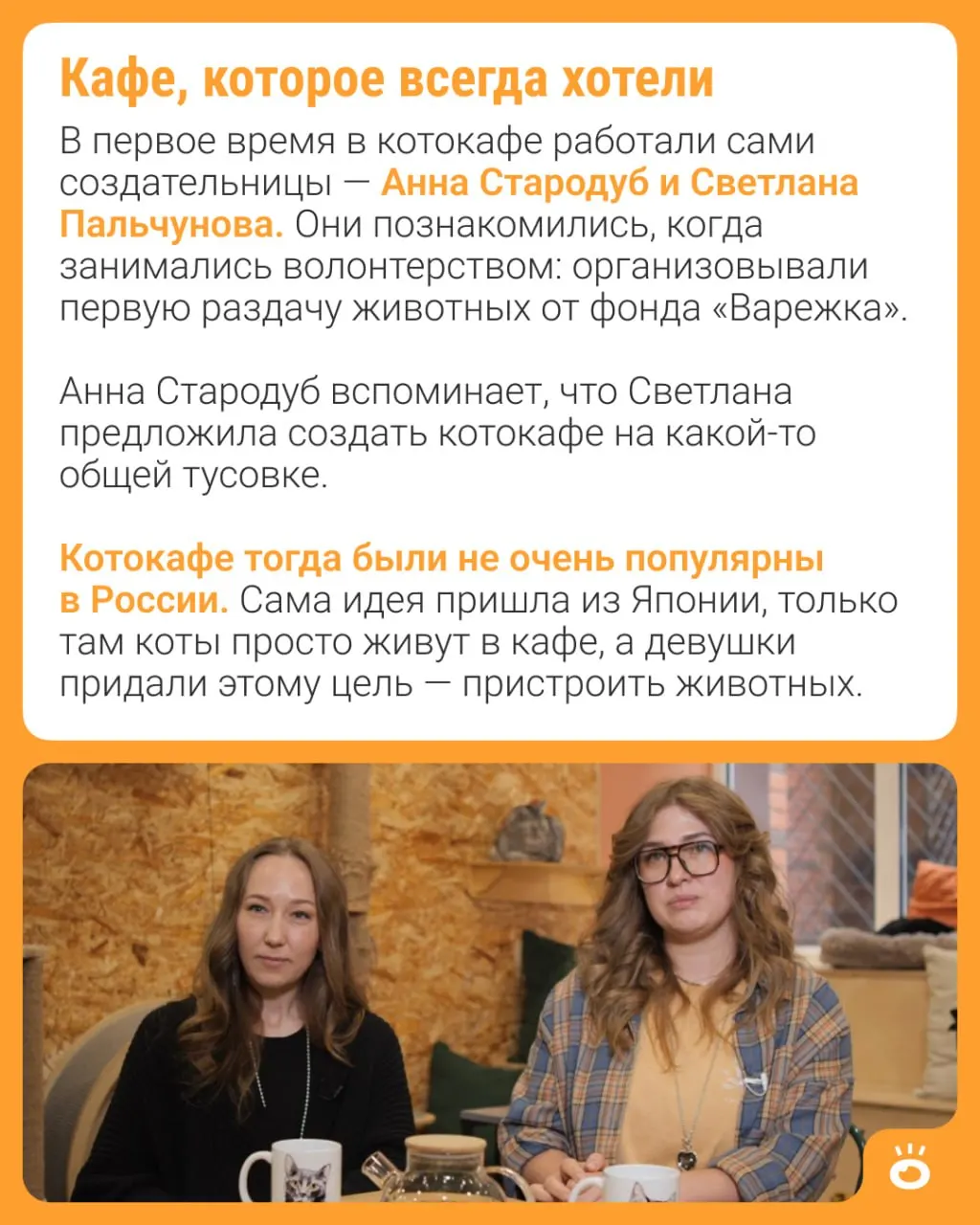 Кафе, открытое в 2016 году двумя девушками, стало приютом для сотен кошек и заметной городской инициативой — в мае отмечает юбилей.