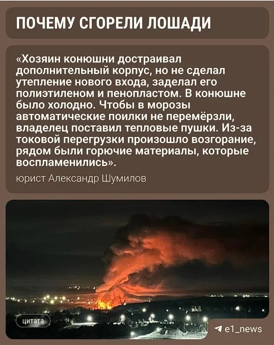 В результате пожара в деревне Боярка уничтожена деревянная конюшня, погибли 16 лошадей. Владельцы и юрист указывают на возможные нарушения требований пожарной безопасности.