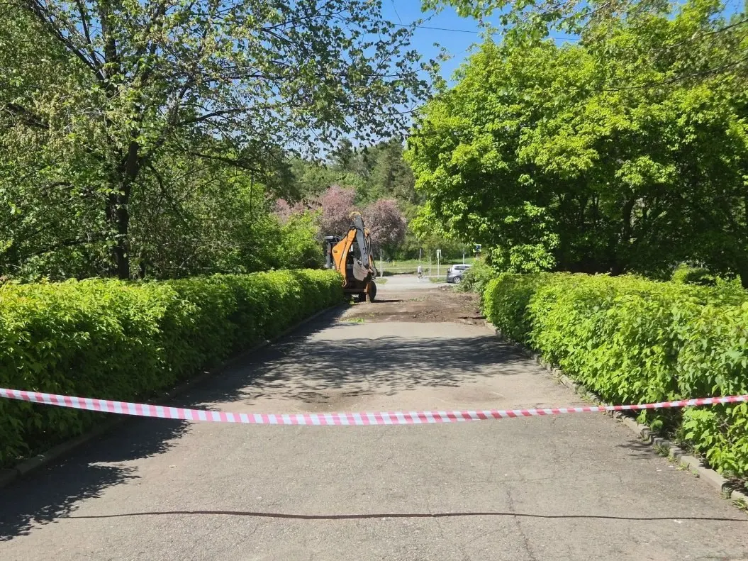 В поселке Южный стартовали работы по благоустройству аллеи имени А. И. Чепурко: укладка плитки, новые фонари, система видеонаблюдения и озеленение. На проект выделено 38,7 млн рублей, завершить планируют до 12 октября.