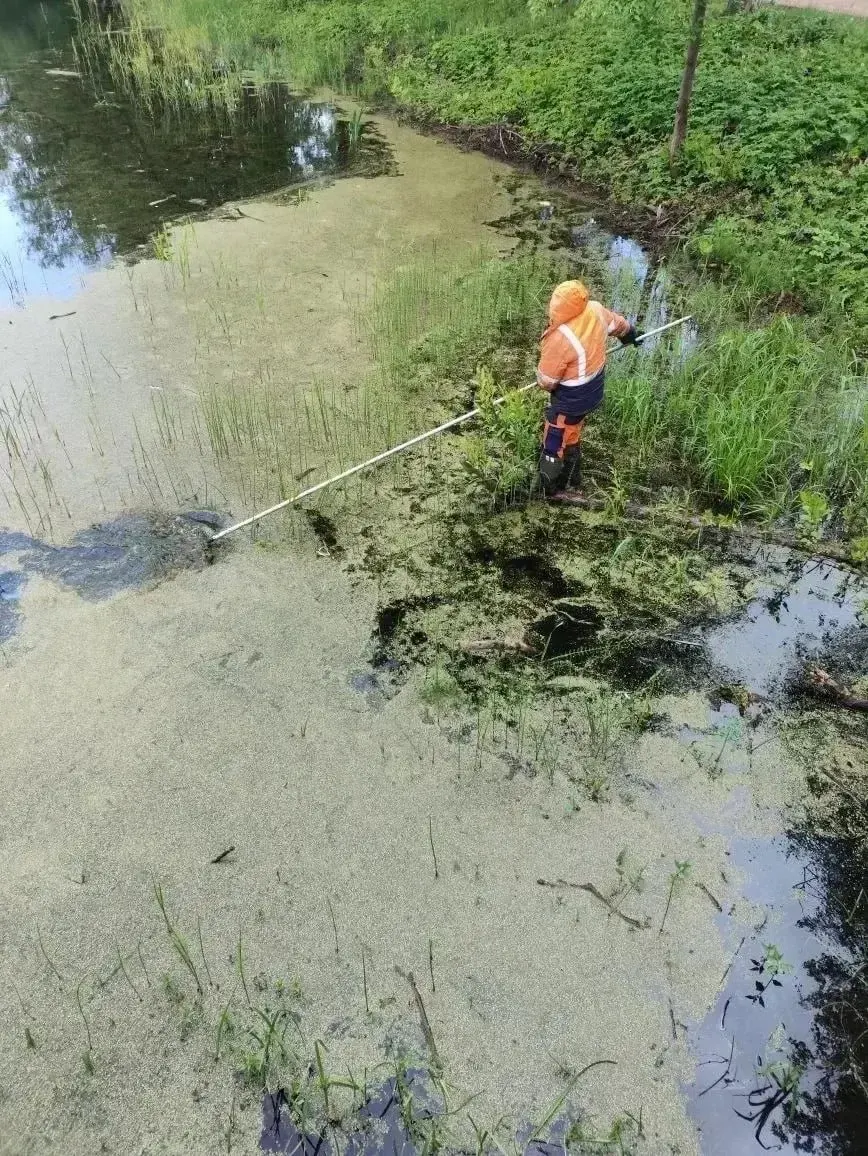 В парке прошёл субботник: с поверхности воды убрали мусор и ветки, а ряску прижали к берегу с помощью гидросистем. Для уборки использовали четырёхметровые грабли.