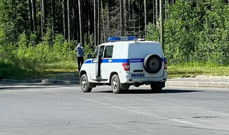 Инцидент произошёл 18 мая у рекламного билборда на Ключевском шоссе около 14:40–14:50. Пострадавший просит очевидцев сообщить любую информацию о нападавшем.