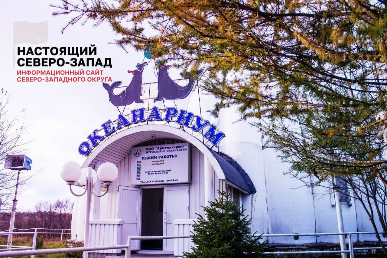 Сотрудники содержат животных в закрытом с 2022 года океанариуме, но не получают заработную плату свыше трёх месяцев; учёные предупреждают о рисках перевозки животных.