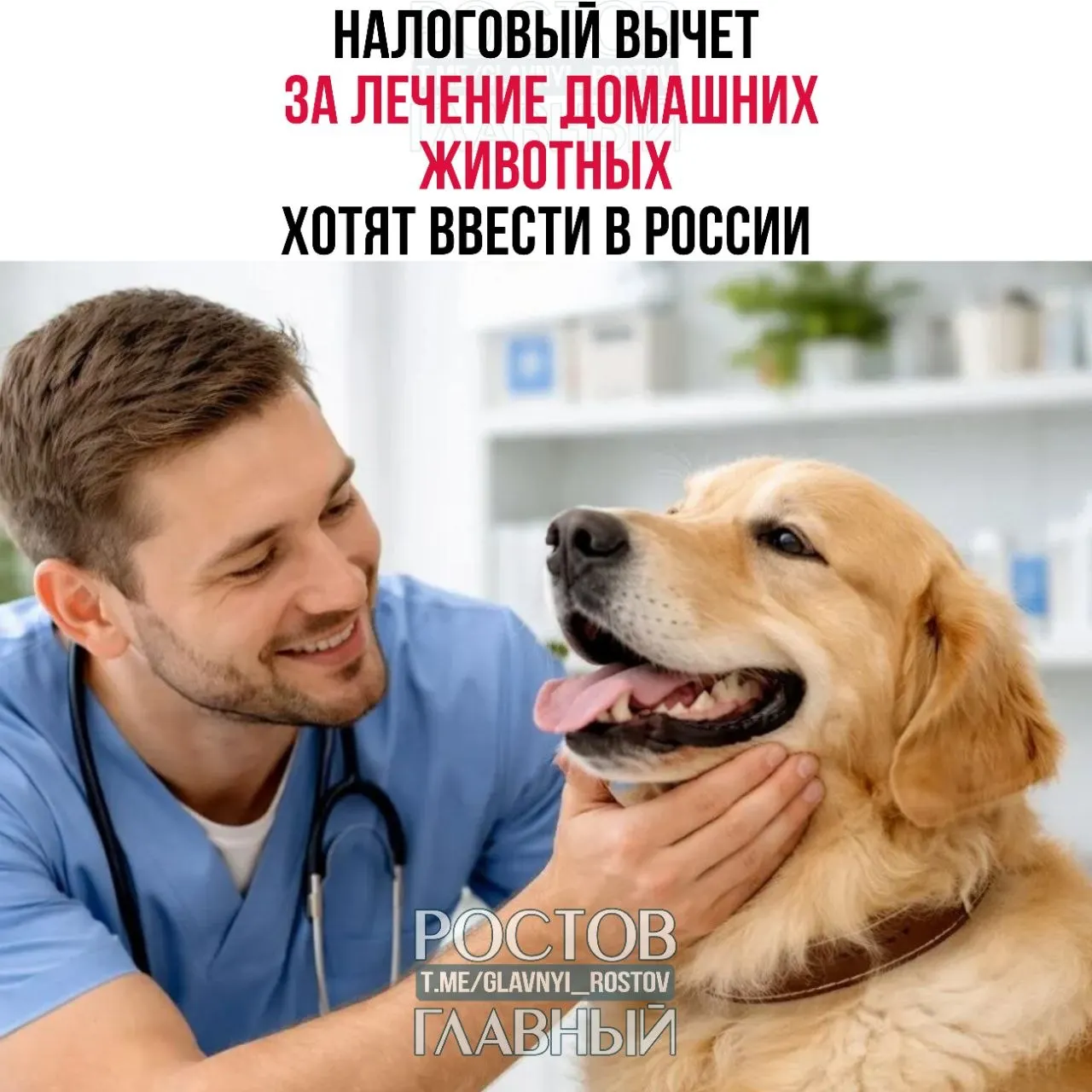 Депутаты предложили дать владельцам питомцев налоговый вычет на ветеринарные расходы по той же схеме, что и на медицинское лечение людей — чтобы снизить нагрузку на семейный бюджет.