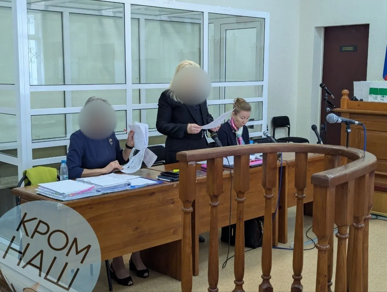 Адвокат ходатайствовала о назначении дополнительной проверки переписок для подтверждения трудовой занятости Сергея Куклева в ПсковГУ; в изъятой памяти телефона обнаружен только фрагмент переписки.