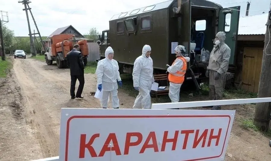 На ферме на улице Молодёжной введены ограничения: доступ в очаг временно разрешён только специалистам, а перемещение невакцинированных животных запрещено на длительный срок.
