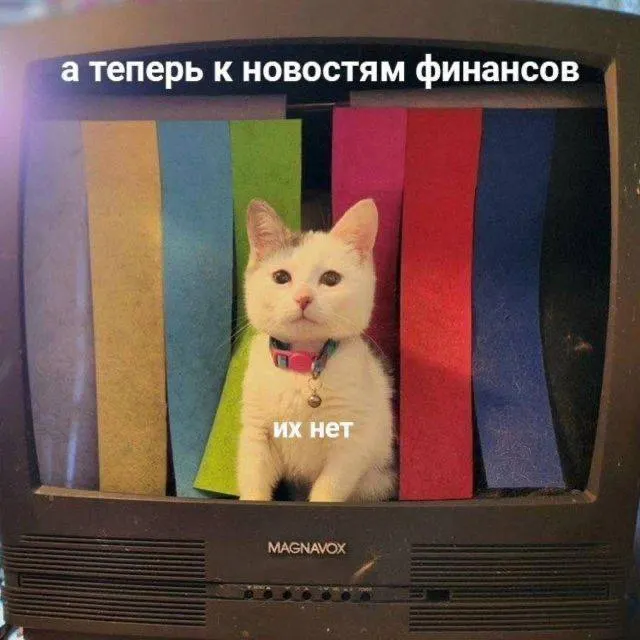 За праздничные дни аферисты обманом выманили у жителей области крупные суммы: почти 6 млн у одного мужчины, более 3 млн у семей и 450 тыс. у молодого повара.
