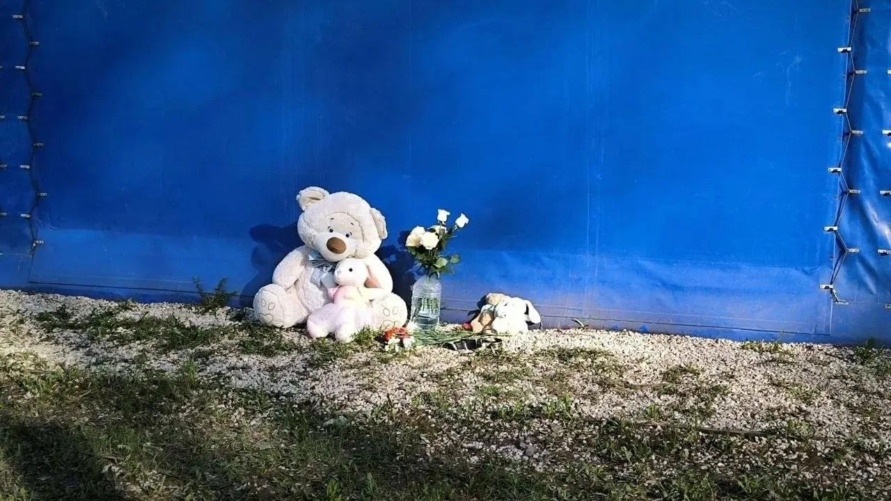 На месте трагедии, где дерево упало и погиб ребёнок, люди оставляют цветы и игрушки в память о пострадавшей.