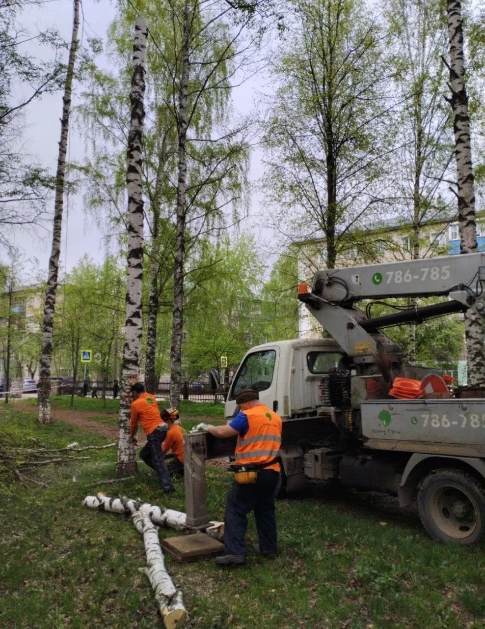 Администрация города сообщает, что в парке вырубают аварийные деревья и освобождают место под новые пешеходные дорожки. На данный момент убрано 54 ствола из 72 запланированных; к сентябрю планируется высадить 182 дерева и кустарника.