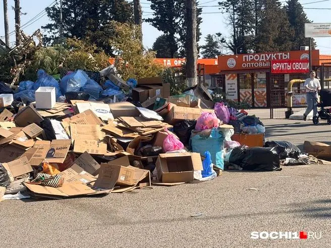 Мэрия заключила муниципальный контракт: подрядчик займётся очисткой заваленных мусором контейнерных площадок в Хостинском районе, работы продлятся до конца ноября.