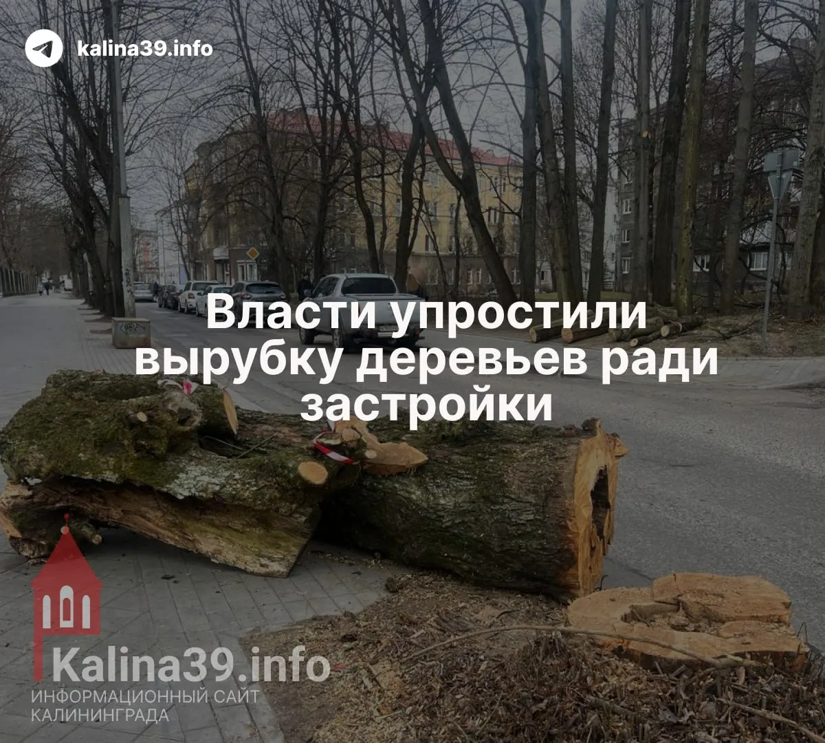 Депутаты приняли поправки, которые позволяют переносить компенсационное озеленение в любую часть муниципалитета и облегчают уничтожение зелёных насаждений для крупных строительных проектов.