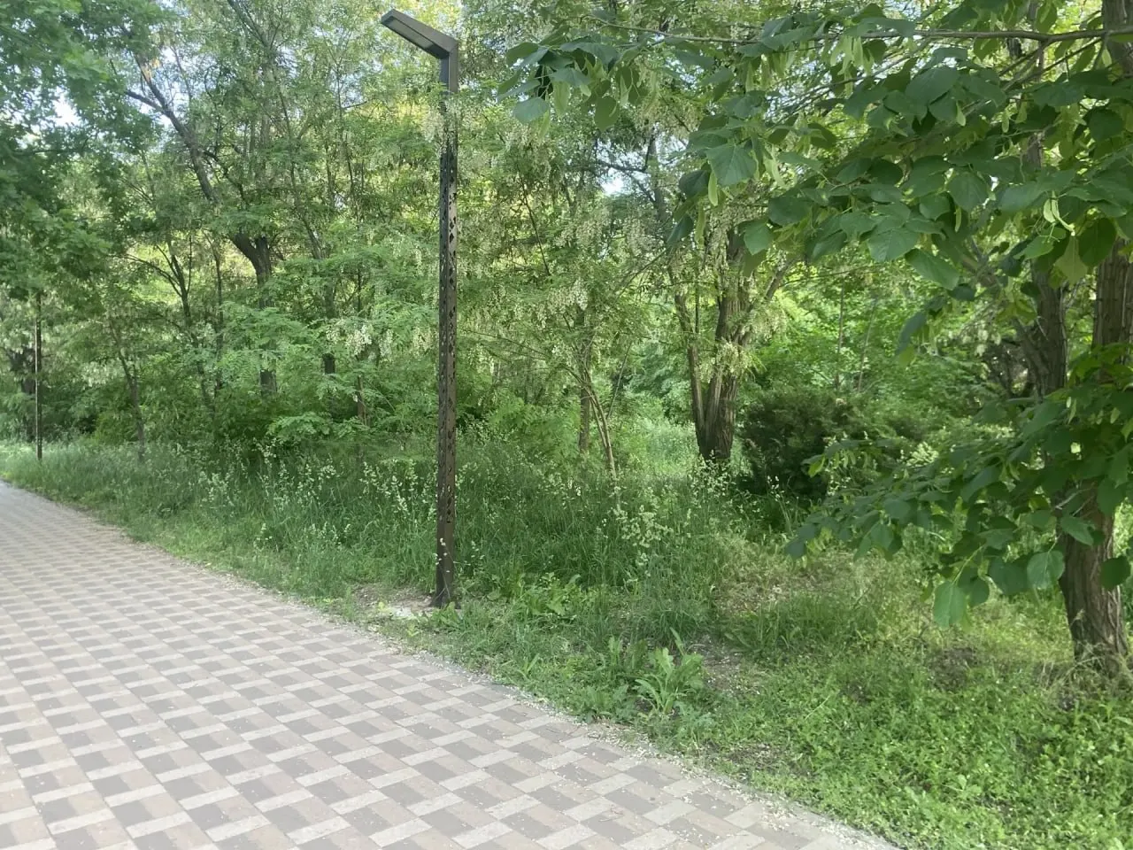 Конструкции парка заросли травой, детская площадка с двумя сломанными качелями, а для приведения территории в порядок требуется как минимум 300 тысяч рублей — у обслуживающей организации таких средств нет.