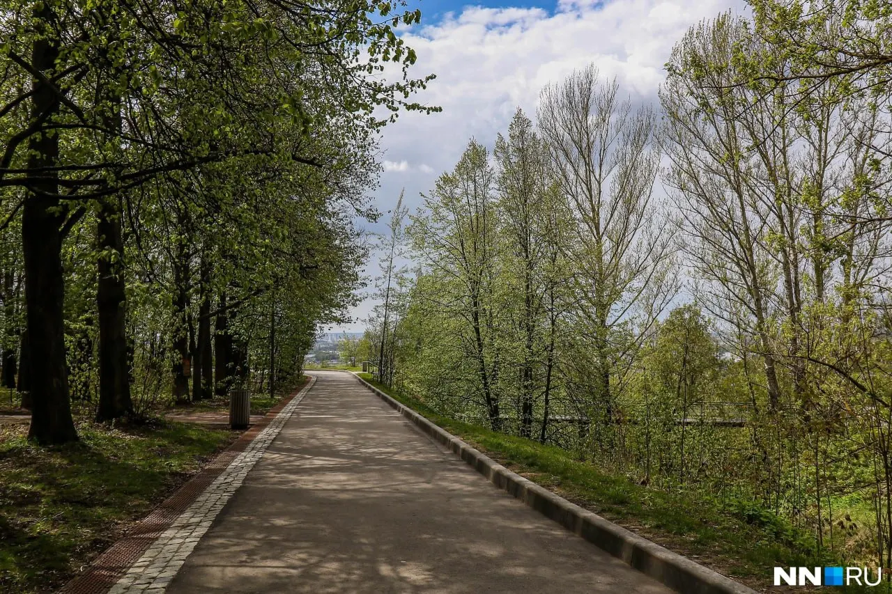 Парк «Швейцария» закроют 6 мая: в нём проведут обработку от клещей. По графику с 4 по 7 мая также временно закроют несколько других городских парков.