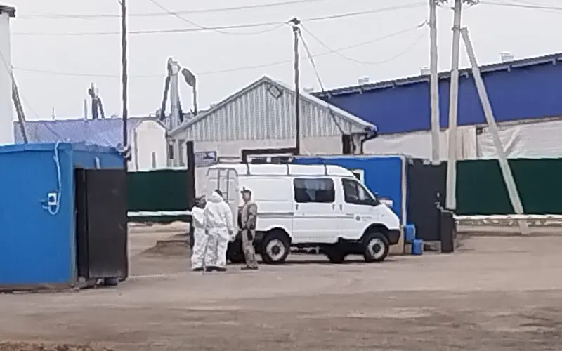 В Промышленновском округе Кемеровской области у агрокомплекса АО «Ваганово» усилили санитарные меры: выставлены блокпосты, оцеплена одна из ферм, жители сообщают о массовом убое дойного стада.