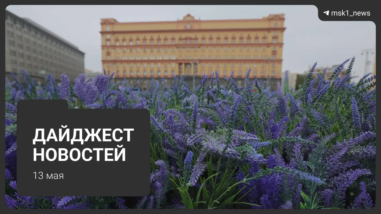 Краткий обзор ключевых событий дня: скандал в Красногорске, масштабная реновация в Можайском районе, запрет самокатов в Лобне и другие важные новости.