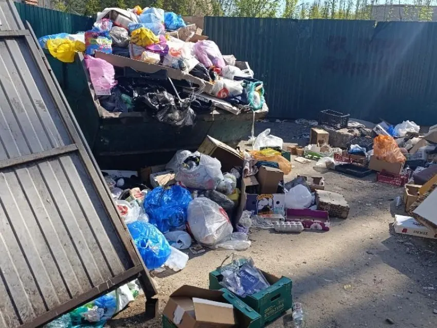Горы отходов вышли за пределы контейнерной площадки и заняли часть улицы — местные жалуются на запах и ежедневное пополнение мусора при бездействии коммунальных служб.