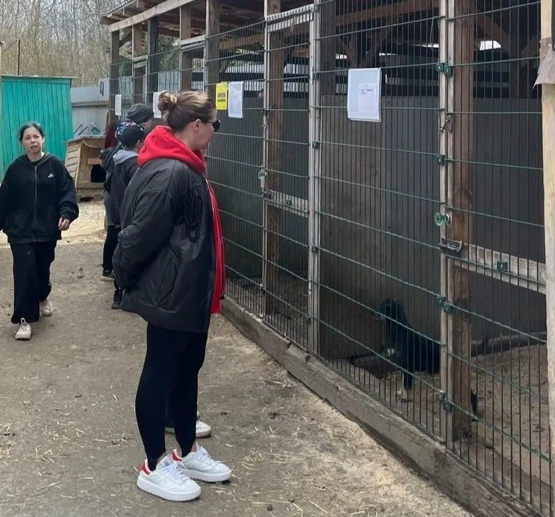 В приюте для животных в Первоуральске прошли обыски в рамках уголовного дела против сотрудников администрации Невьянска: изъяты документы и техника, из‑за этого организация не может сдать отчётность.