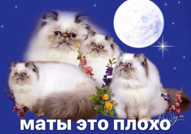 АТС Смольного планирует внедрить голосового робота для обработки не менее 90% звонков в 112 и другие ведомства; в испытаниях системе поручат корректно реагировать на нецензурную лексику.