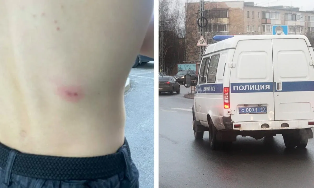 Днём 18 мая двое подростков в районе улицы Гвардейской открыли стрельбу из пневматического пистолета по прохожим. Один подросток получил ушибы и синяки — неизвестно, обращались ли родители в полицию.