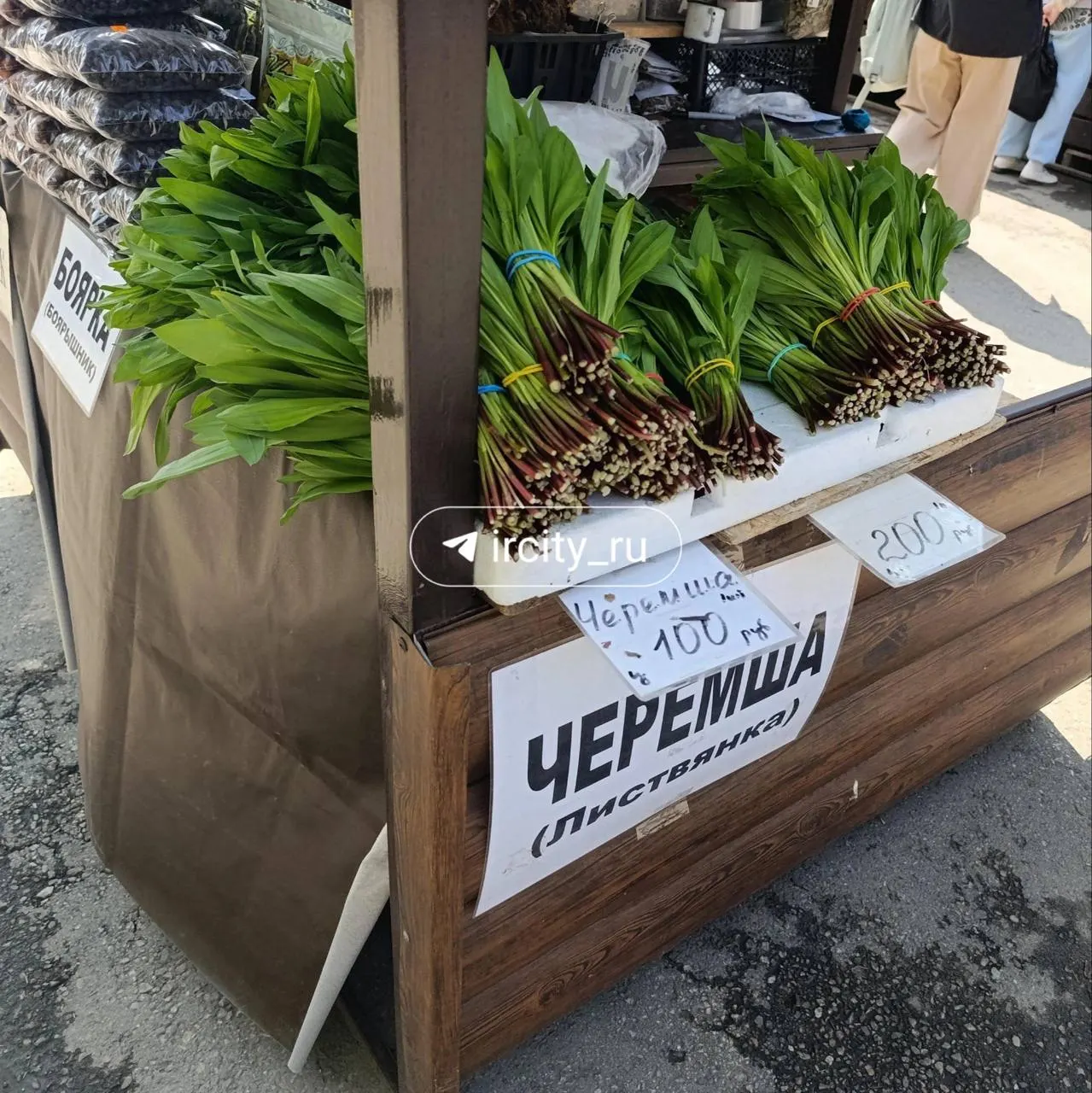 Черемша продаётся на Центральном рынке Иркутска — привозят из Листвянки и окрестностей. Цена варьируется от 100 до 200 рублей за пучок.