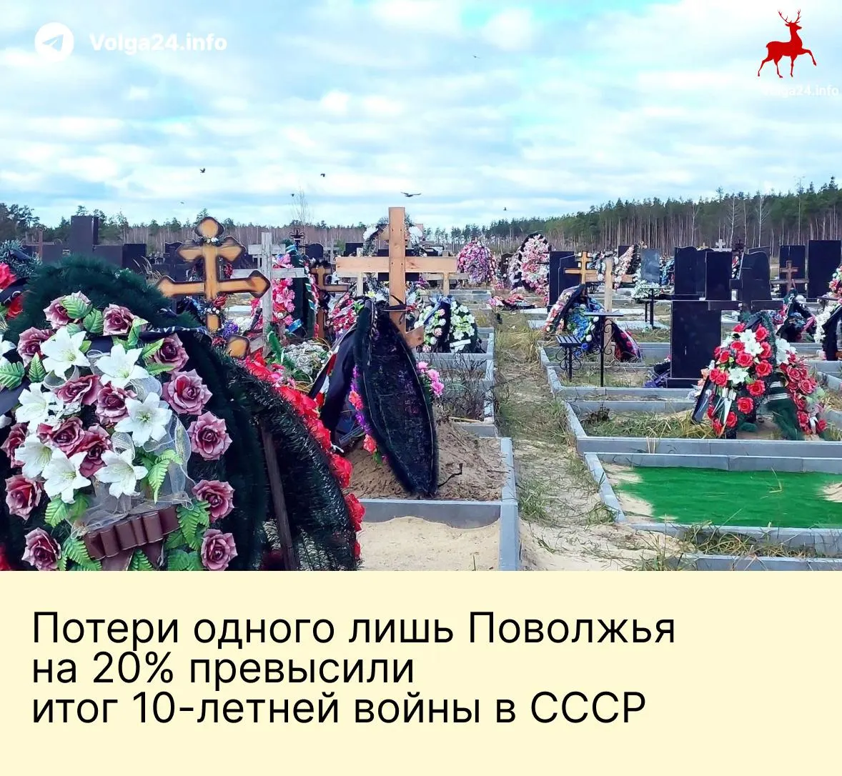 Верифицированные потери жителей Поволжья в текущем конфликте превысили 55 тыс. человек. Наибольшее абсолютное число смертей зафиксировано в Татарстане и Башкортостане, а Кировская область лидирует по смертности на душу мужского населения.