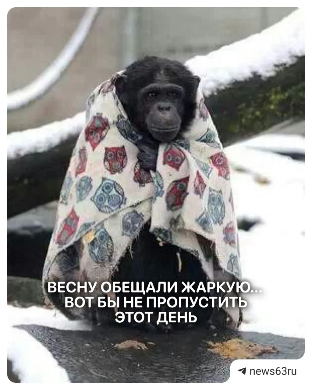 Первая рабочая неделя начнётся тёплой днём, но ночами столбики термометра могут опускаться до +2. По долгосрочному прогнозу май обещает быть прохладным.
