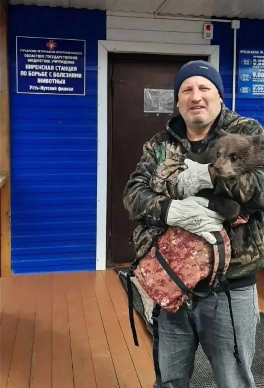 Медвежонка нашли во дворе частного дома в Усть‑Куте — ослабленное животное отвезли в зоопарк, где ему окажут необходимую помощь.