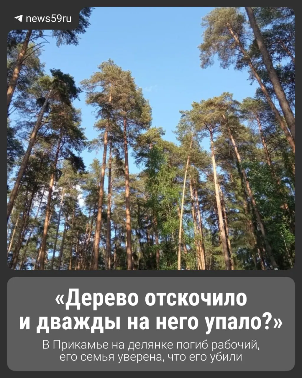 На лесной делянке под Юсьвой при неясных обстоятельствах погиб 46-летний Павел Ошмарин. Коллеги заявляли о падении дерева, но экспертиза обнаружила признаки ударов тупым предметом — следствие продолжается.