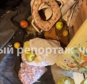 В одном из домов Черниковки обнаружили пятерых детей от 3 до 14 лет, живших в условиях захламления; свидетели утверждают, что мать тратила пособие на алкоголь и допускала насилие со стороны приходивших мужчин.