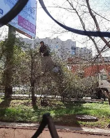 Утром возле дома на Богомягкова, 53 рабочие на автовышке и грузовике частично срезали крону дерева, закрывавшего баннер. В мэрии заявили, что разрешения не выдавали — комиссия выедет оценить ущерб.
