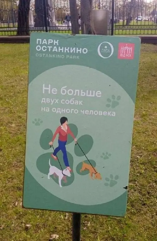 В Останкино ввели правило: одному человеку разрешено выгуливать не более двух собак вне зависимости от их размера.