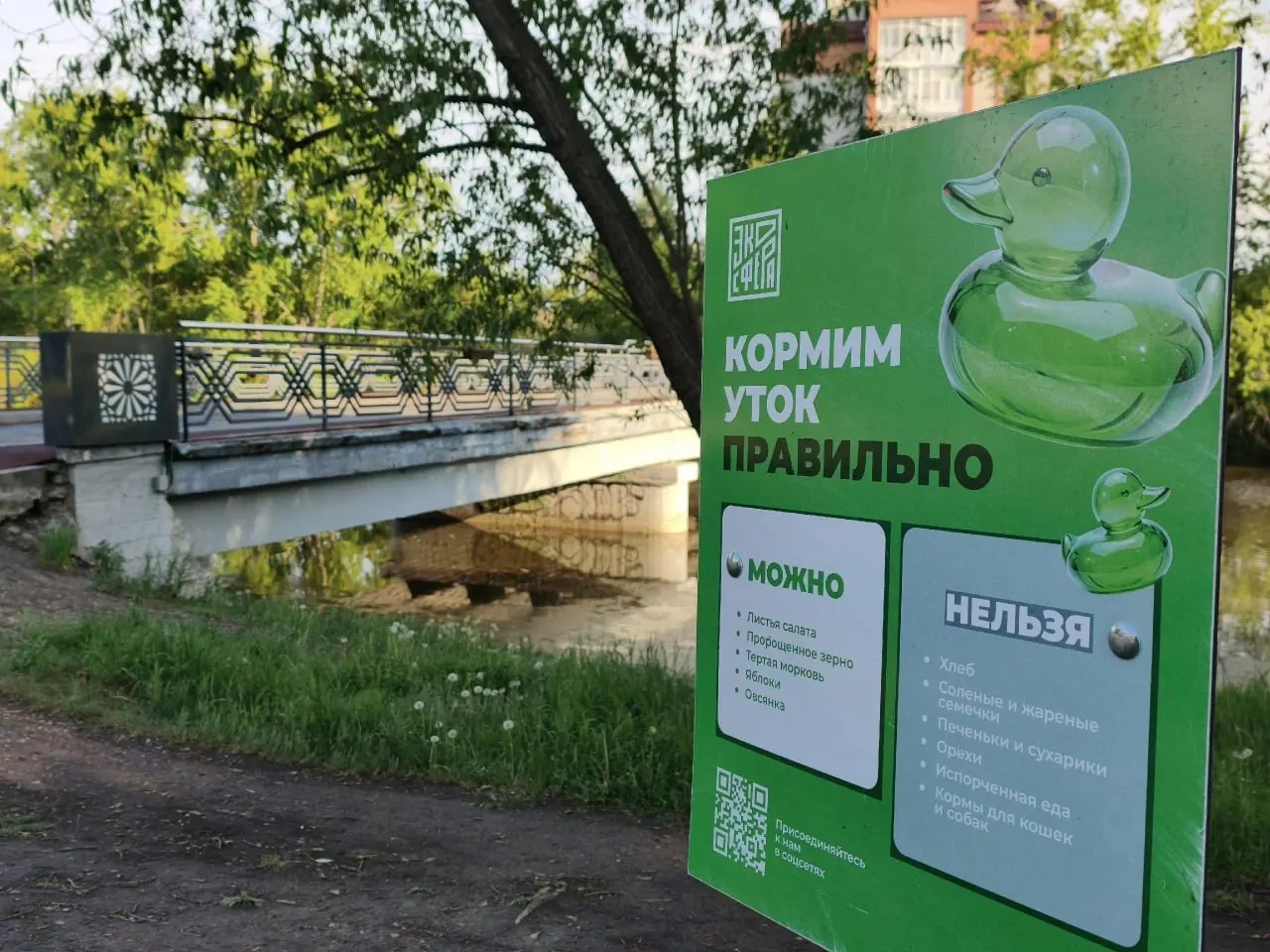 В Городском саду и парке Победы запретили подкармливание уток: в ЦПКиО места для кормления перенесли вглубь парка, у центрального входа кормить птиц теперь нельзя. Ограничение объясняют необходимостью поддерживать чистоту и уменьшать скопление птиц.