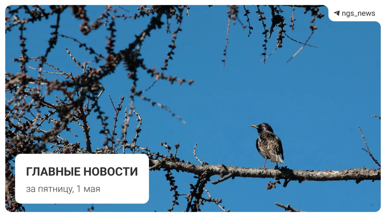 Тема дня — частичное обрушение потолка в детской спортивной школе в Татарске. Также в подборке: поезд из старых вагонов на Дзержинской ветке, сроки запуска фонтана в Центральном парке, первомайское шествие и погром на площади Маркса.