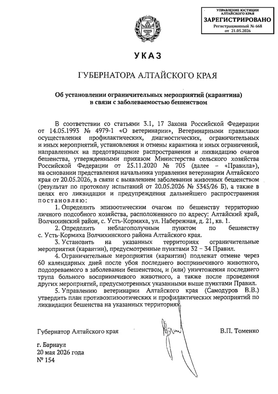 В Волчихинском районе обнаружили 59-й с начала года очаг бешенства: в селе Усть‑Кормиха введён карантин на 60 дней. По предварительным данным, источником инфекции стало личное подсобное хозяйство; в районе это уже третий случай за год.