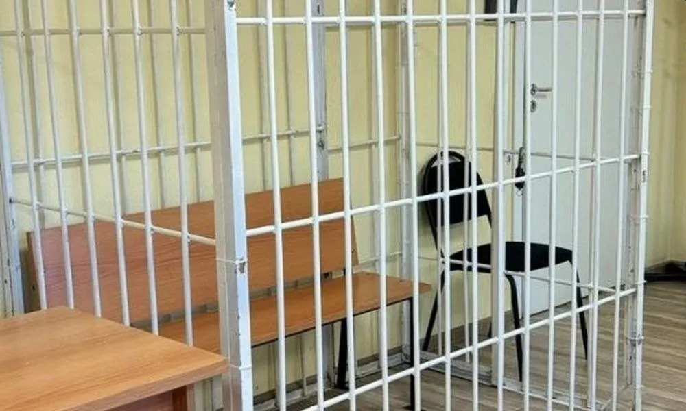 Пудожский районный суд поместил под стражу 17-летнего, обвиняемого в изнасиловании несовершеннолетней; ему избрана мера пресечения в виде ареста на два месяца.
