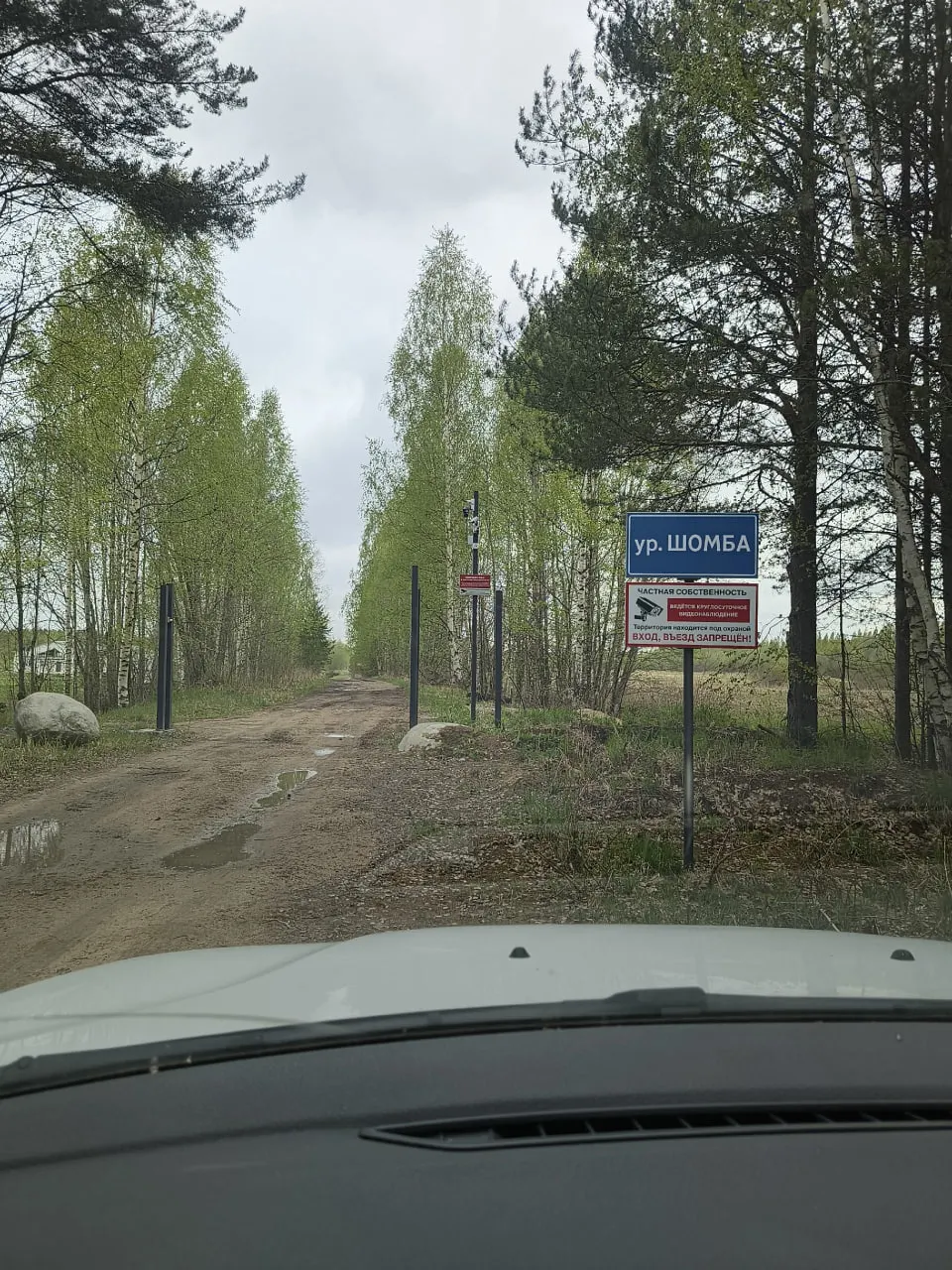 В Пряжинском районе оградили подходы к пляжу на озере Шотозеро и установили запрещающие знаки. Местные жители заявляют, что десятилетиями использовали это место для отдыха и просят компетентные органы разобраться.