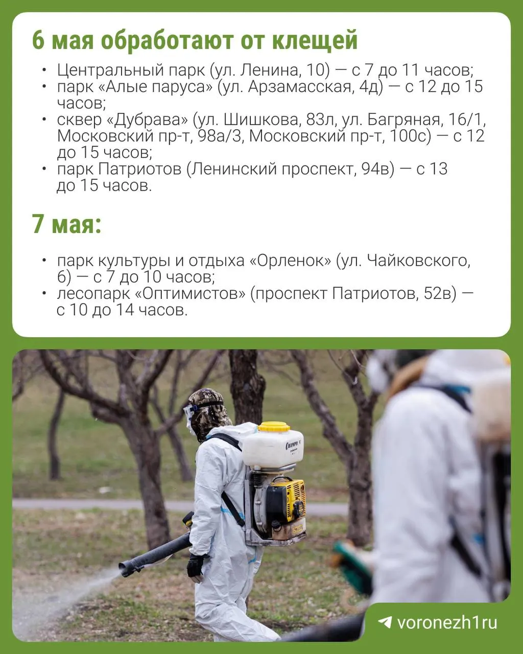 Дезинсекцию в 35 зеленых зонах проведут две бригады. Препараты считаются безопасными для людей и животных, но рекомендуется не посещать парки во время работ и несколько часов после них.