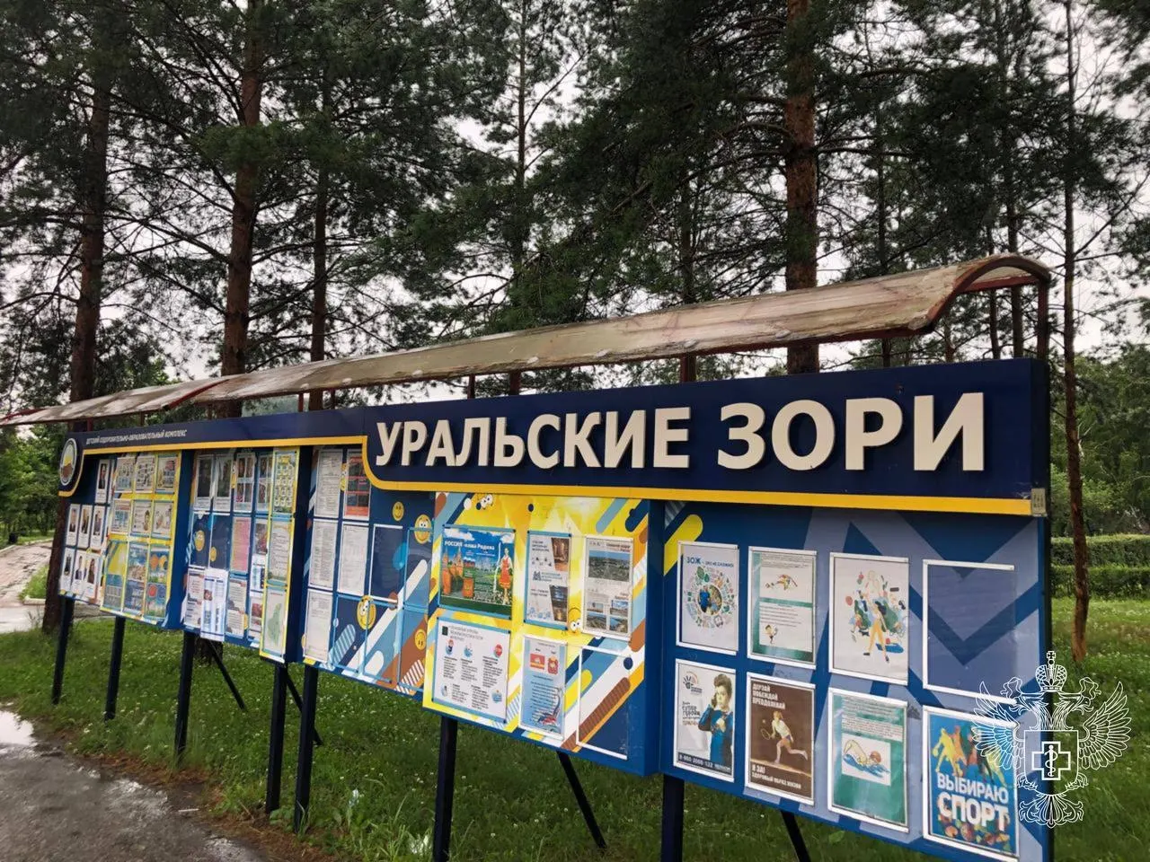 На детском форуме на озере Банное участники 11–15 лет жалуются на рвоту, понос и повышение температуры. Очевидцы оценивают число заболевших выше официальных данных.