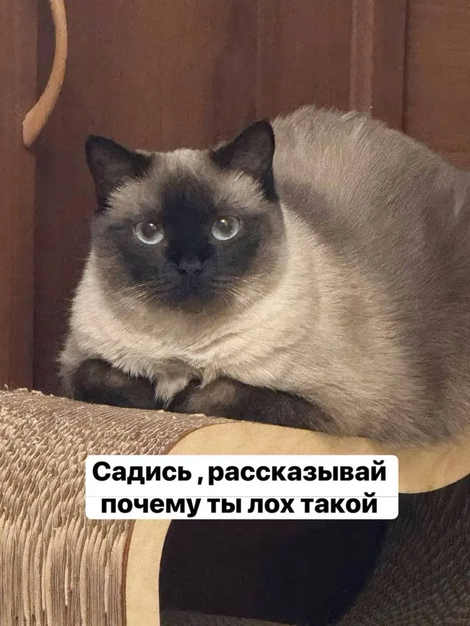 Мошенники, представившись сотрудниками госорганов, через видеозвонок заметили деньги в кадре и убедили девушку передать 10 млн рублей курьеру.