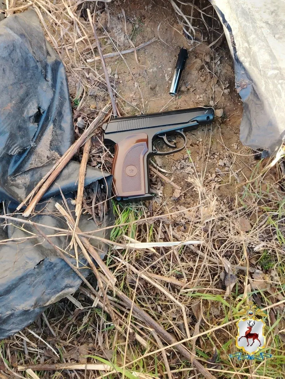 В Нижегородской области конфликт между женщинами из‑за разных подходов к воспитанию перерос в угрозы и избиение пожилой дамы игрушечным пистолетом; злоумышленницу обвиняют в угрозе убийством, орудие изъято и приобщено к делу.