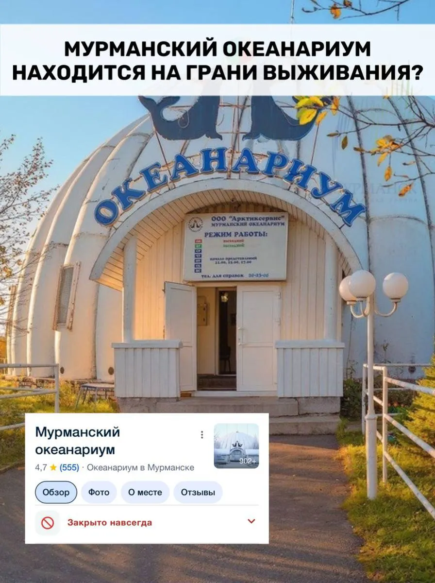 Арбитражный суд рассматривает иск о взыскании с океанариума более 723 тыс. рублей. Учреждение ранее уже выплатило свыше двух миллионов по долгам, а сейчас столкнулось с риском изъятия земли и системными задержками зарплат.