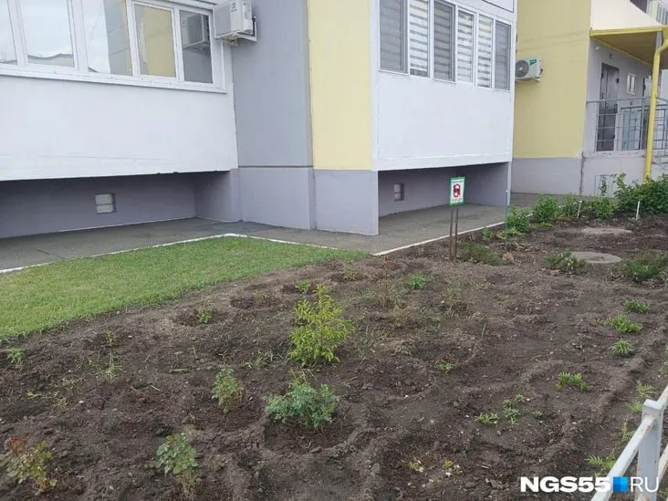 Жители многоквартирных домов всё чаще устраивают клумбы и огороды во дворах. Рассказываем, что нужно согласовать с соседями и какие культуры лучше выбирать, чтобы избежать проблем с коммунальщиками и соседями.