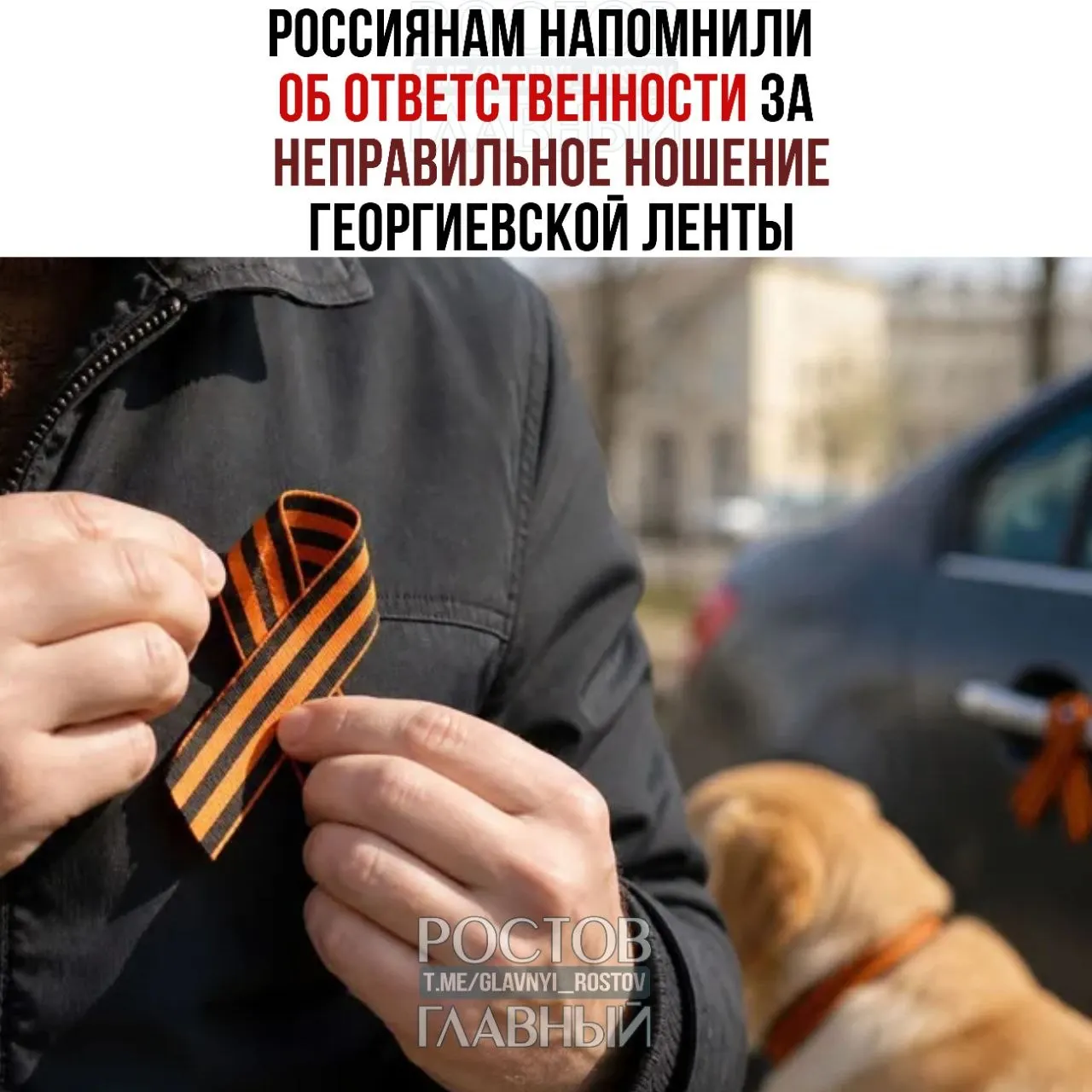За неправильно закреплённую георгиевскую ленту могут привлечь по статье о реабилитации нацизма: возможны штрафы до 5 млн рублей или лишение свободы до 5 лет. Особую осторожность советуют при нестандартном размещении ленты.