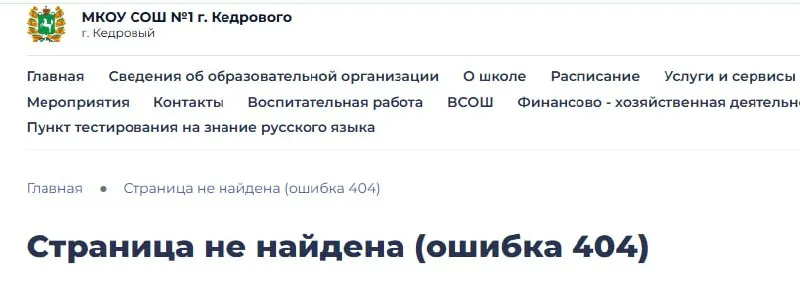 После общественной и политической критики приказ о запрете одежды с надписями на иностранных языках исчез с сайта школы в Томской области. Руководство заявило, что инициатива исходила от регионального департамента образования.