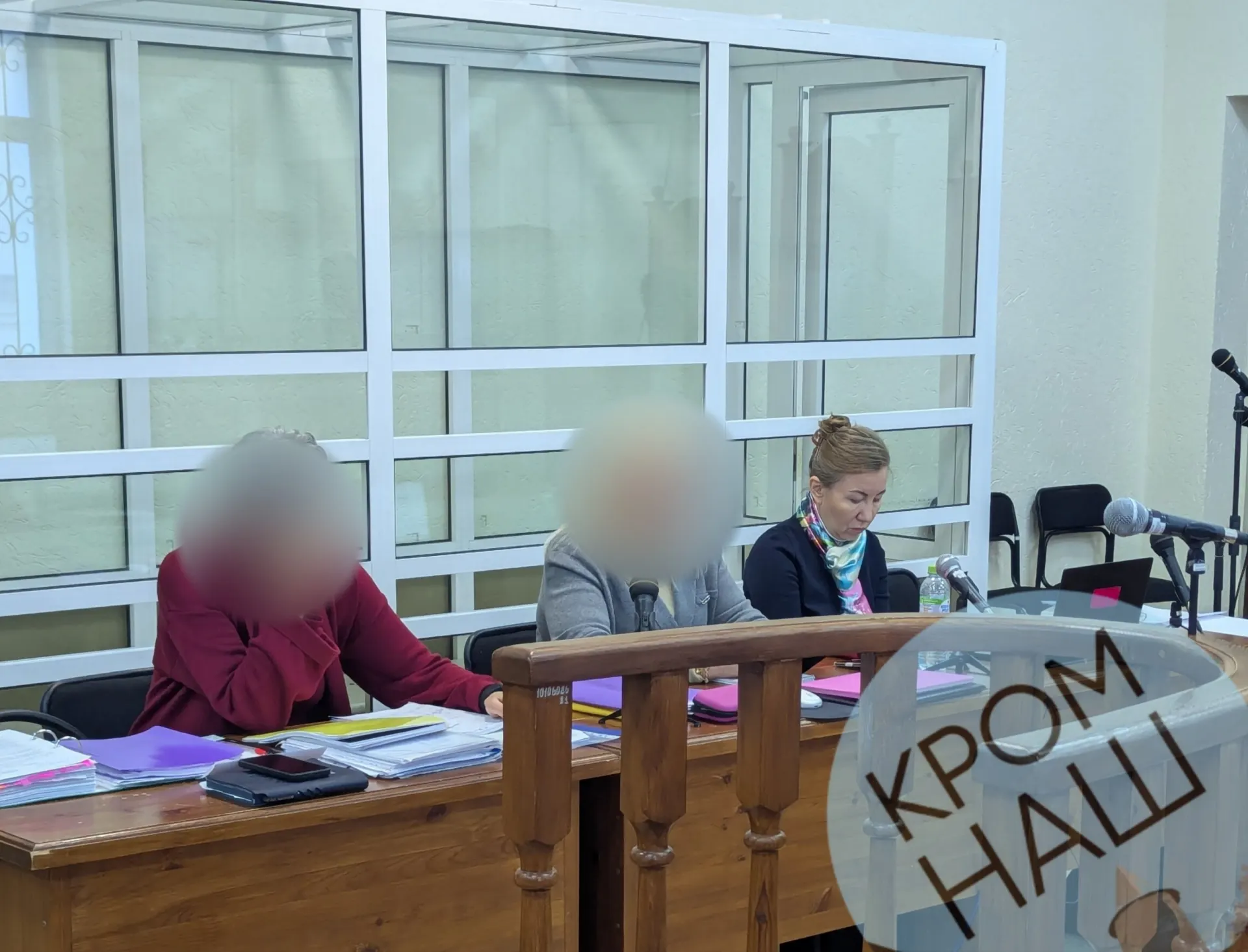 В Псковском городском суде прошло четырнадцатое заседание по уголовному делу бывшей ректора Псковского государственного университета Натальи Ильиной. Заседание проходит в Пскове.