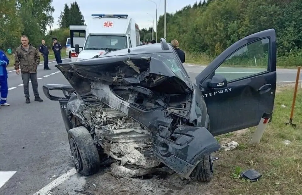 ДТП на трассе М-8 в Вельском районе: 43-летний водитель выехал на встречную полосу, в результате погибли шестилетняя девочка и пассажирка Renault. Суд приговорил виновника и обязал выплатить компенсации семье погибшей.