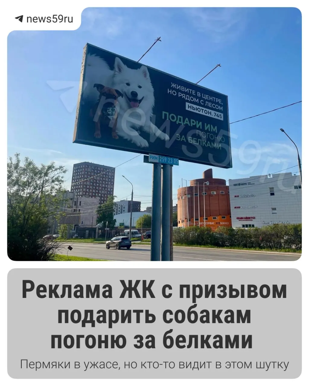 На рекламных щитах одного из строящихся жилых комплексов появился призыв подарить собакам погоню за белками. Объявление вызвало возмущение в соцсетях; застройщик от комментариев отказался.