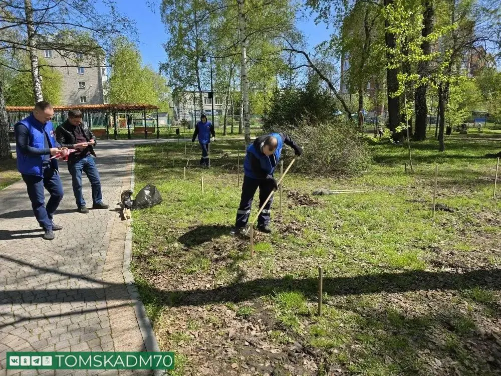 В Буфф‑саду посадят 12 яблонь и 15 кустов гортензии по инициативе сотрудников телерадиокомпании; ранее в городе уже создали большой сиреневый сад.
